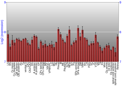 Expression graph