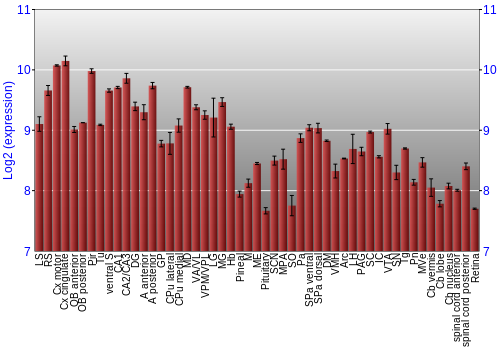 Expression graph