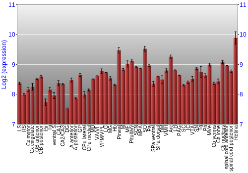 Expression graph
