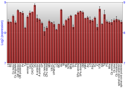 Multi-state expression graph