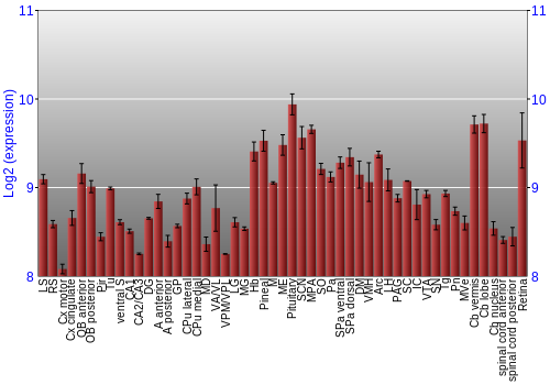 Expression graph
