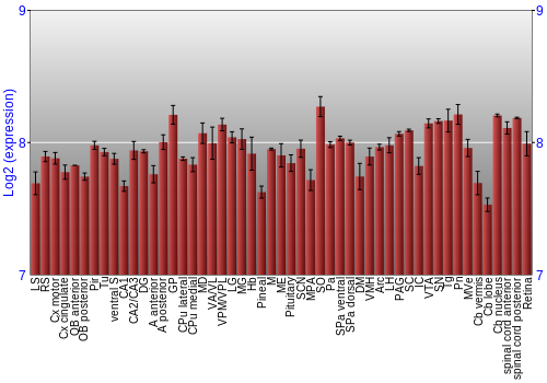 Expression graph