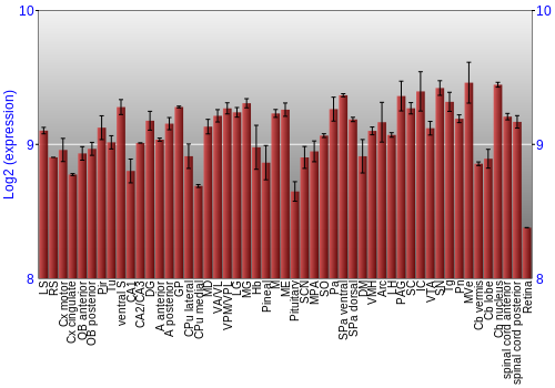 Expression graph