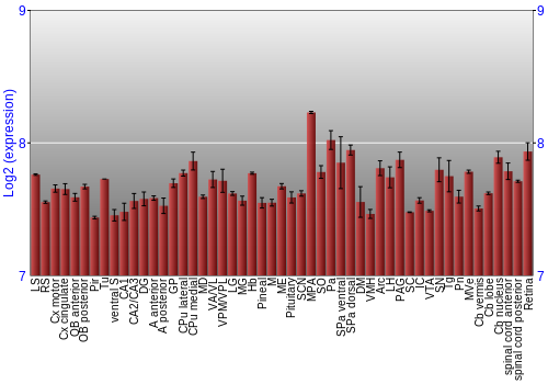 Expression graph