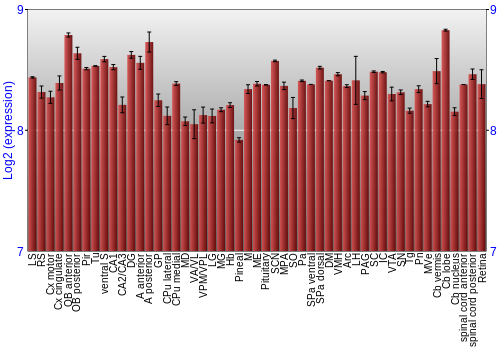 Expression graph
