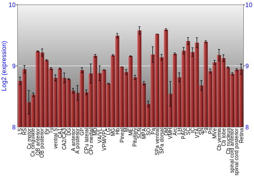 Expression graph