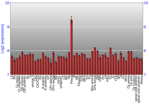 Expression graph