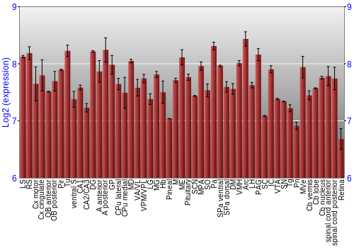 Expression graph