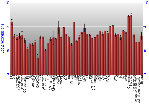 Expression graph