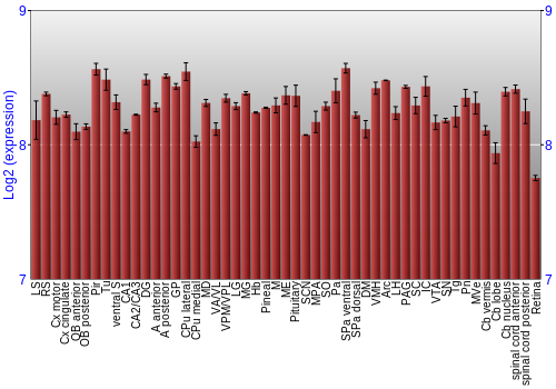 Expression graph