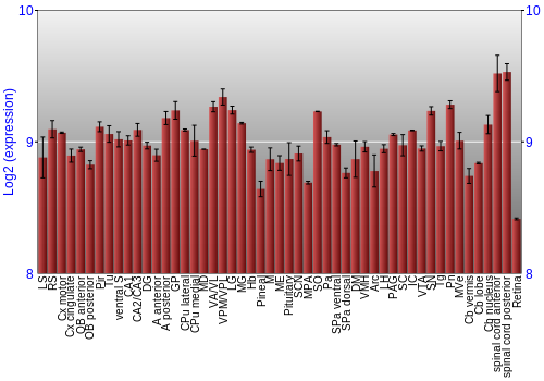 Expression graph