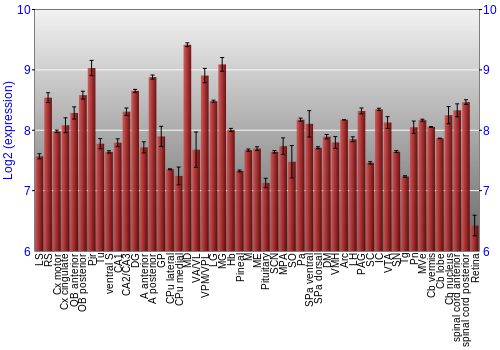 Expression graph