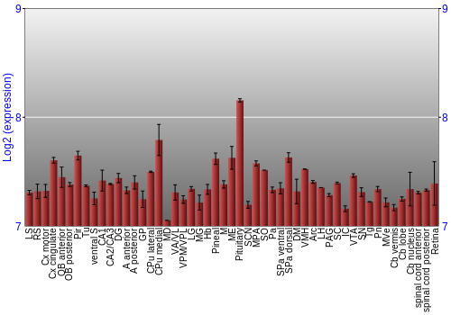 Expression graph