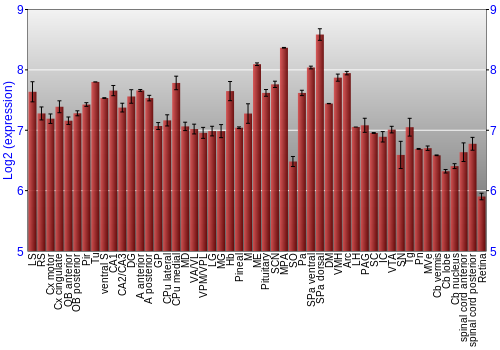 Expression graph