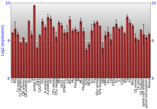 Expression graph