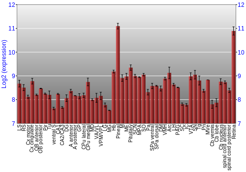 Expression graph