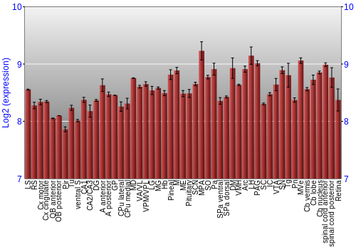 Expression graph