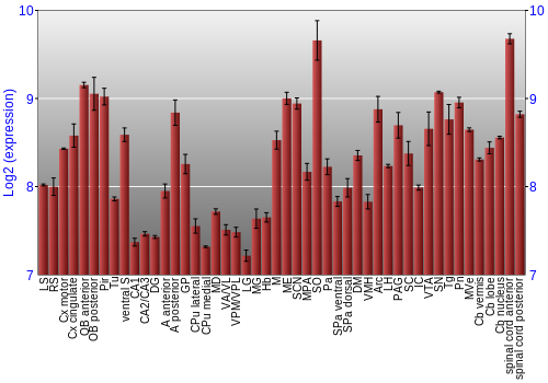 Multi-state expression graph