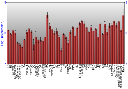 Expression graph