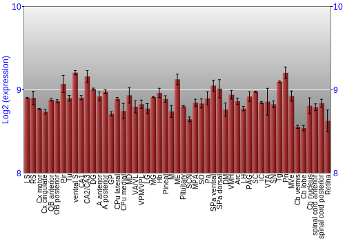 Expression graph