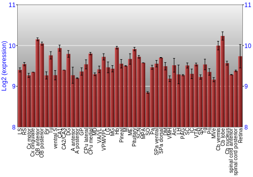 Expression graph