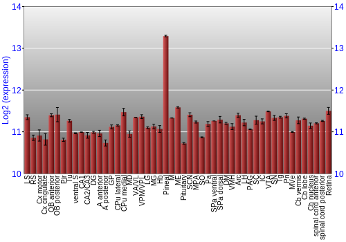 Expression graph