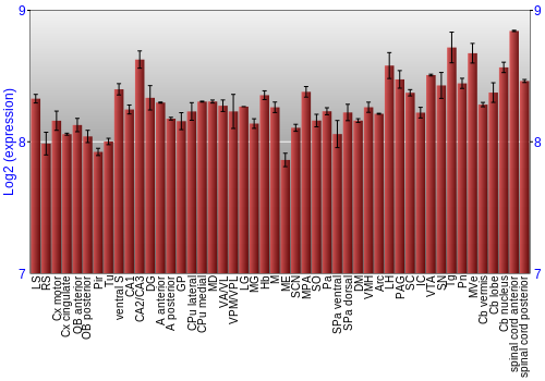 Multi-state expression graph