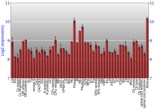 Expression graph
