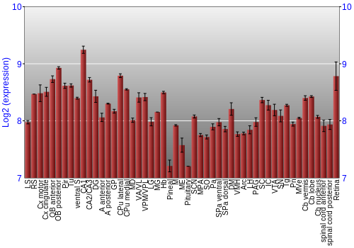 Expression graph