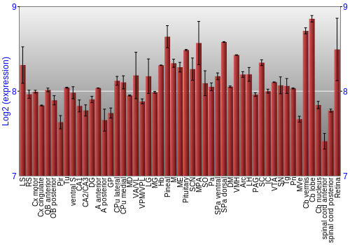 Expression graph