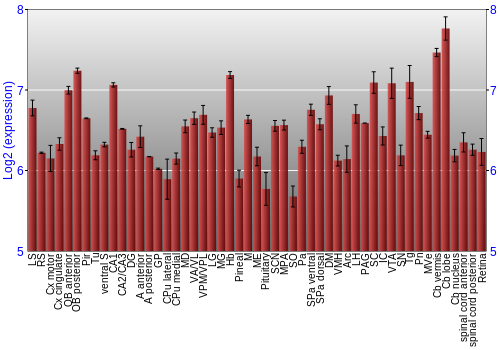 Expression graph