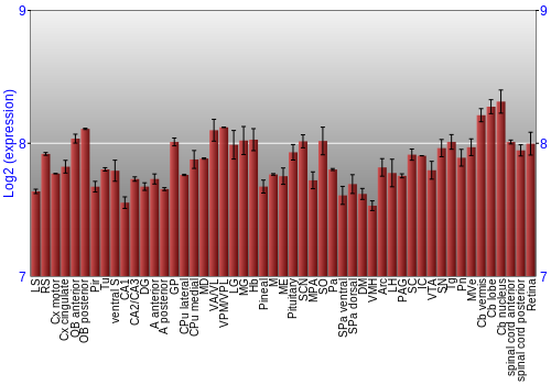 Expression graph