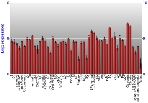 Expression graph