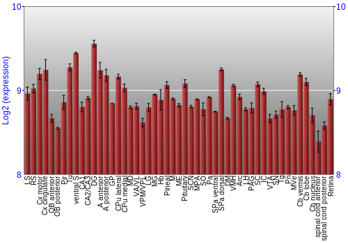 Expression graph