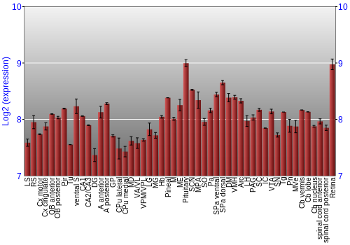 Expression graph