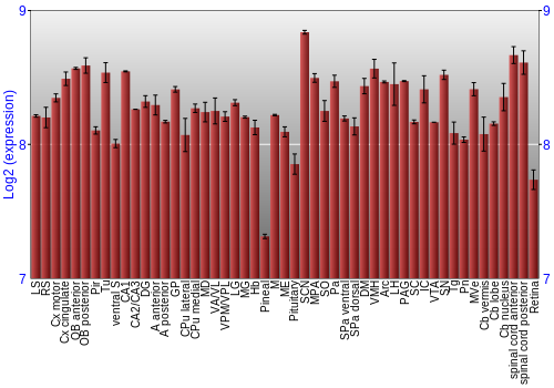 Expression graph
