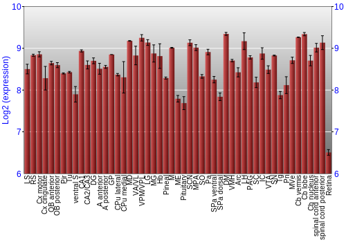 Expression graph