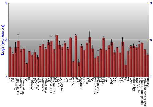 Expression graph