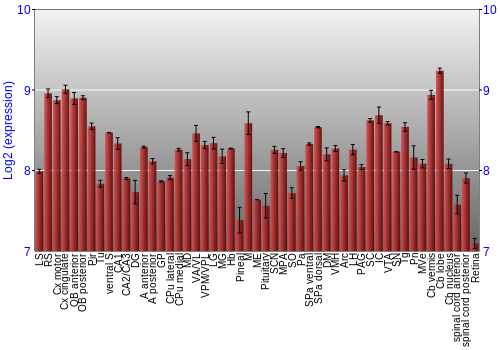 Expression graph