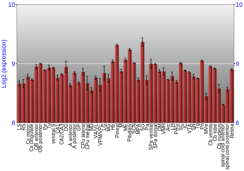 Expression graph