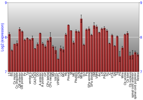 Expression graph