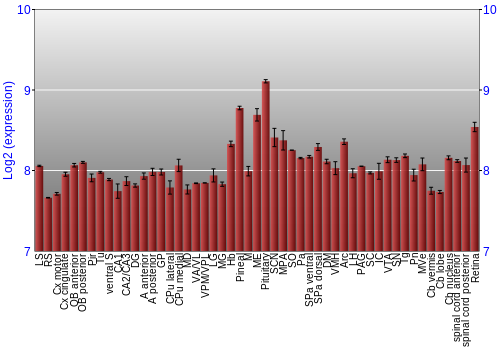 Expression graph
