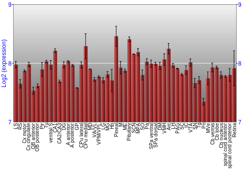 Expression graph