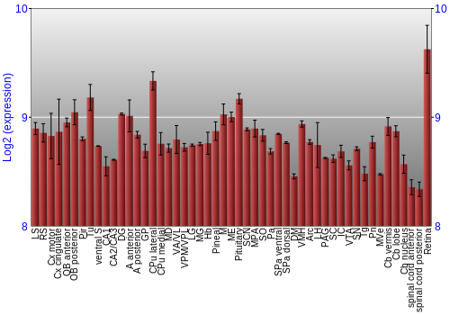 Expression graph