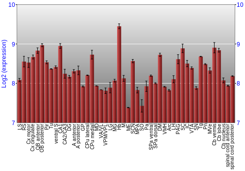 Multi-state expression graph