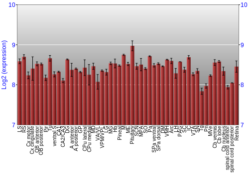 Expression graph