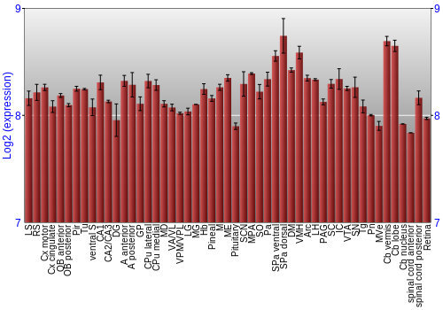 Expression graph
