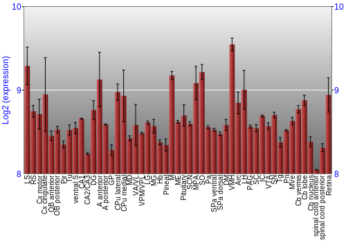 Expression graph