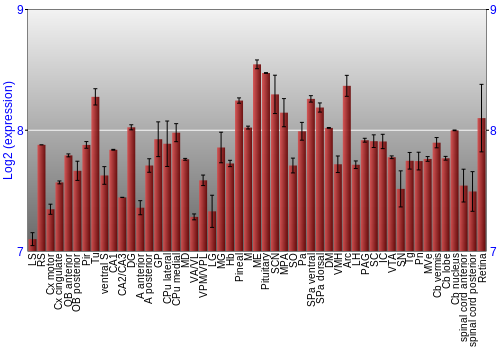 Expression graph