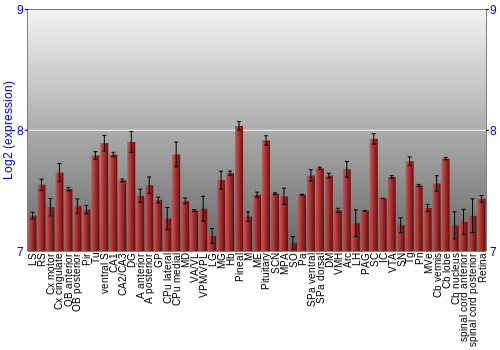 Expression graph